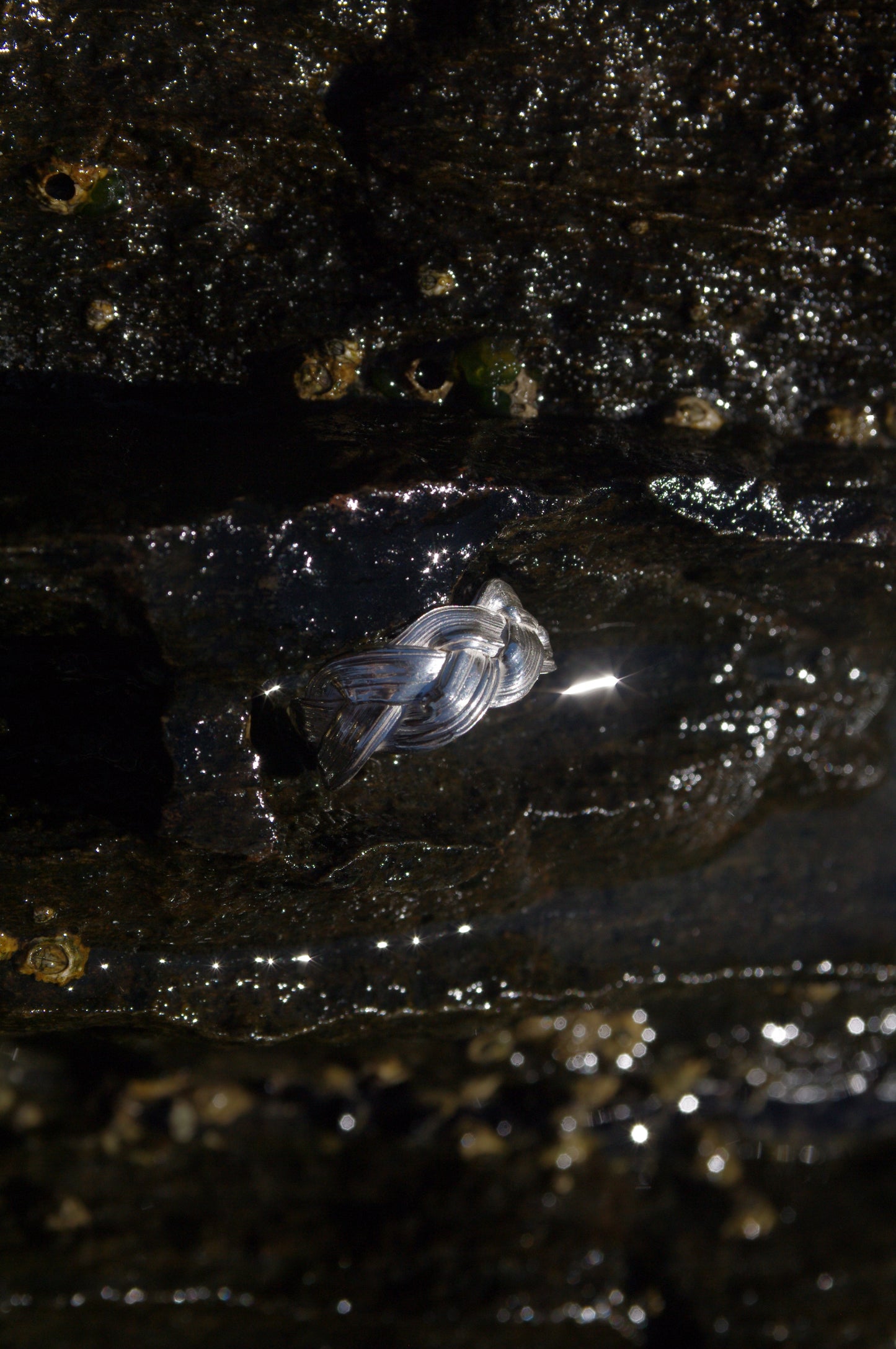 Bague Tressée