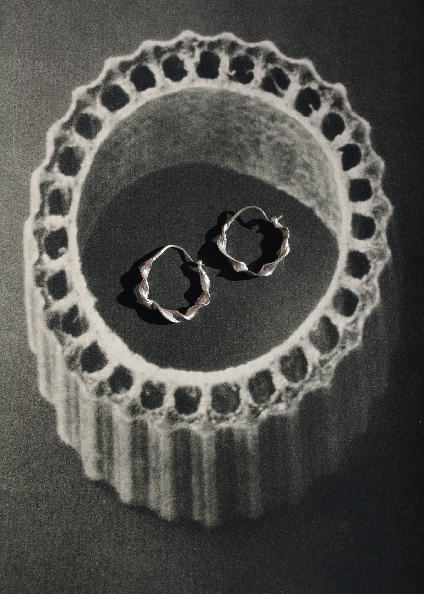 Grandes Créoles Volutes