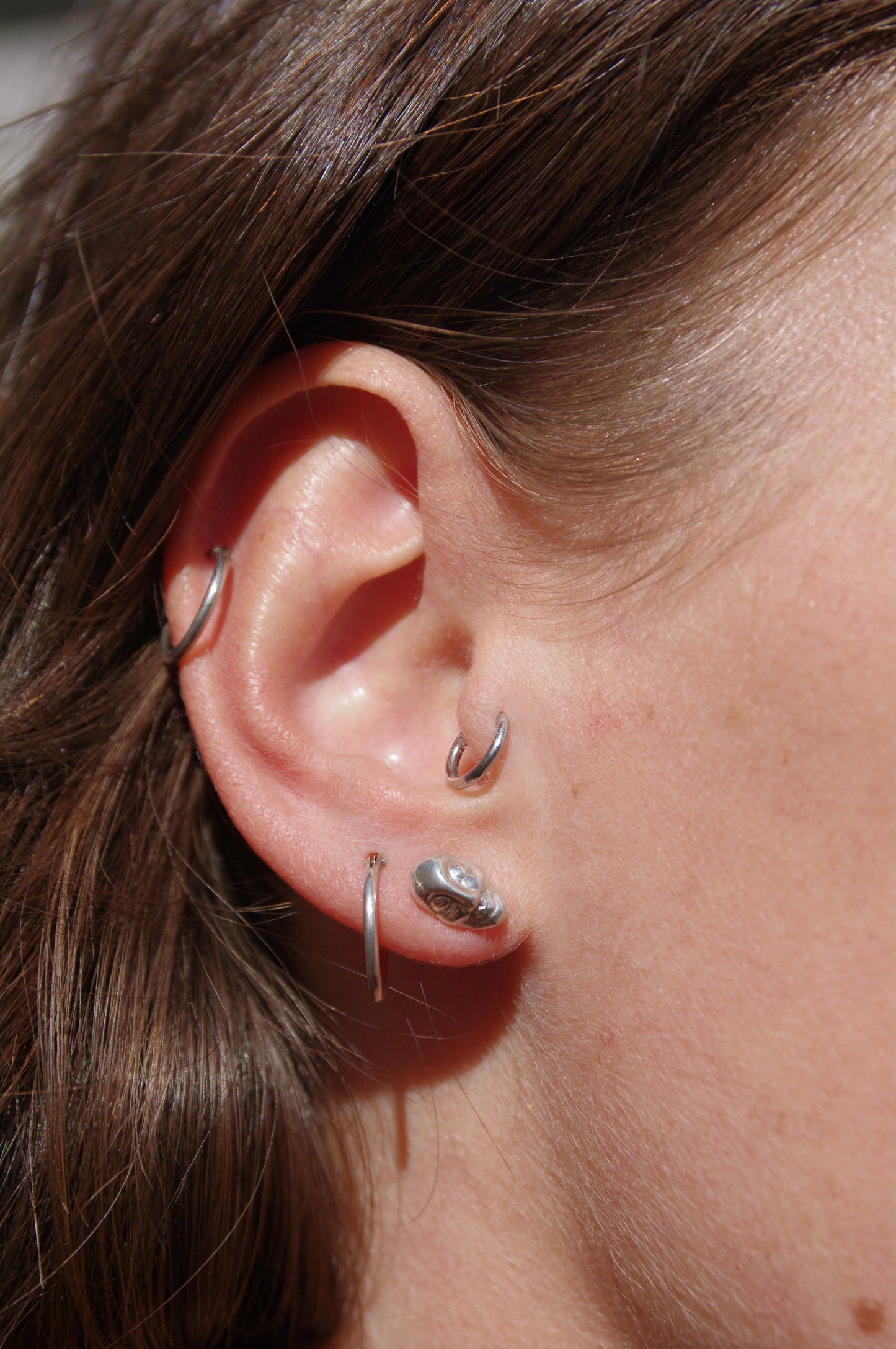 NUIT Puces d'oreilles