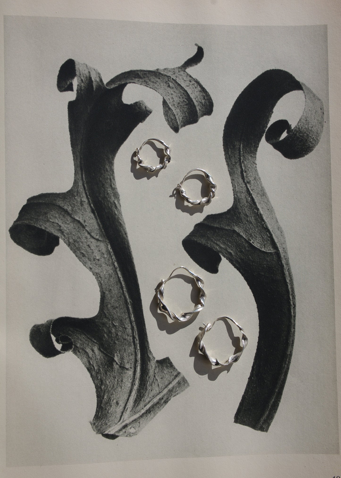 Grandes Créoles Volutes