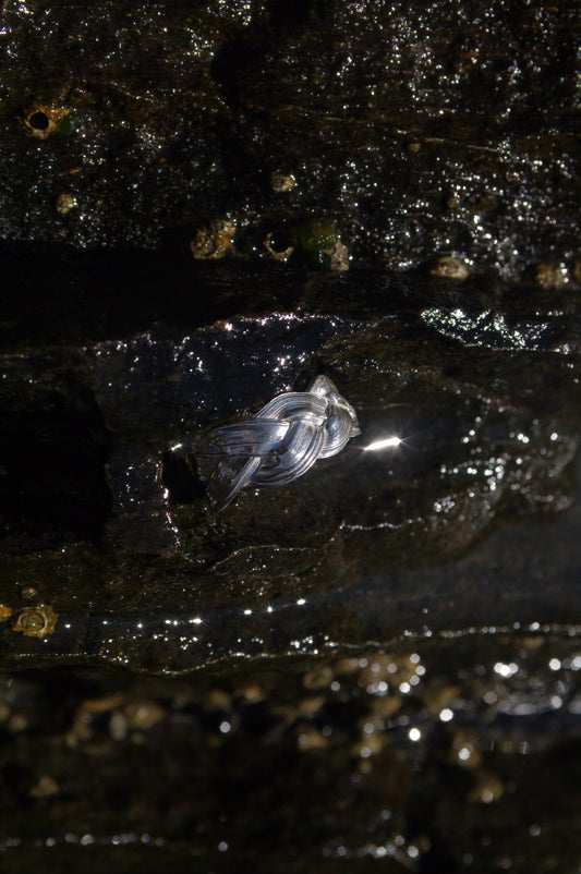 Bague Tressée