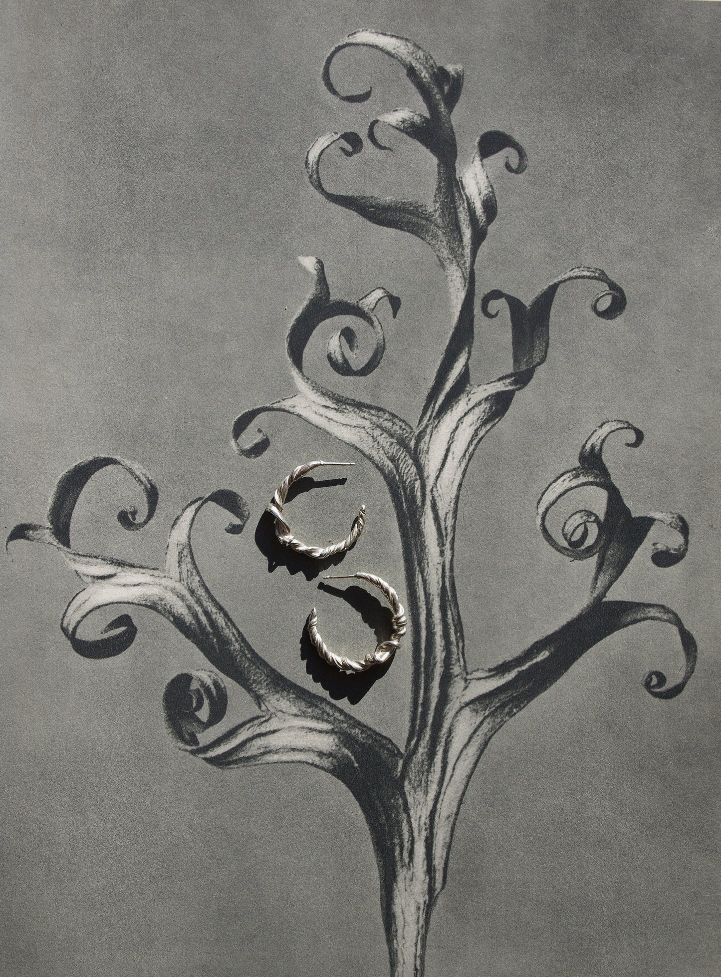 Créoles Entrelacées