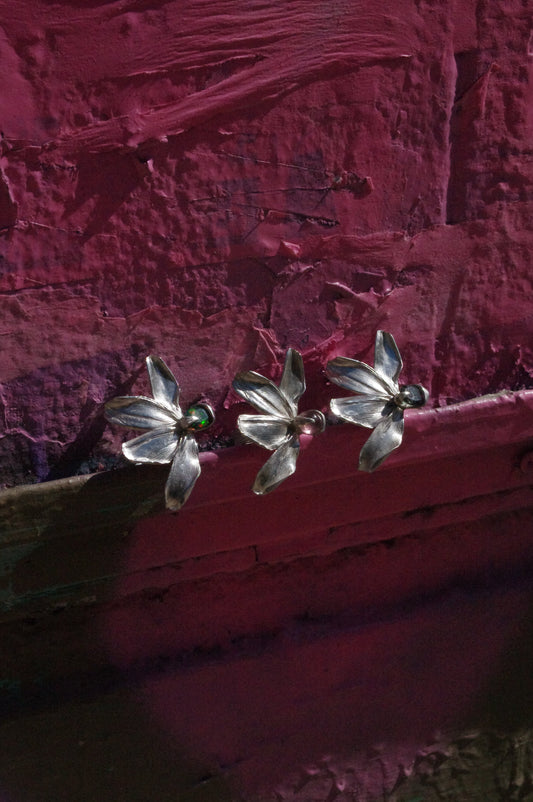 Bagues Cosmos